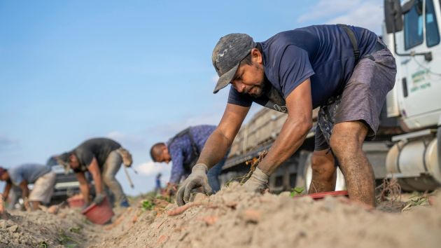 Subvenciones para la Contratación en el Medio Rural