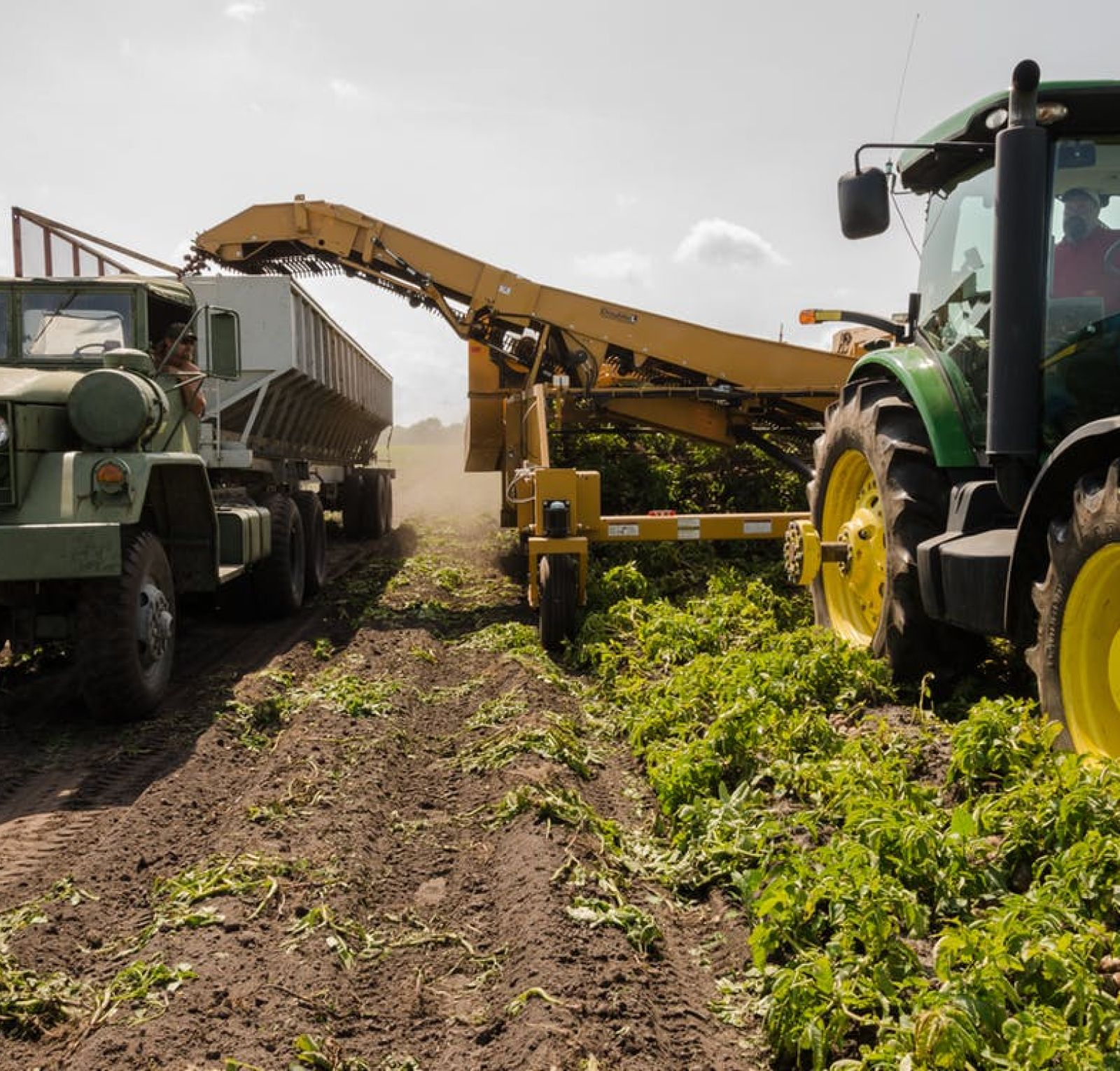 Matricula Agricola
