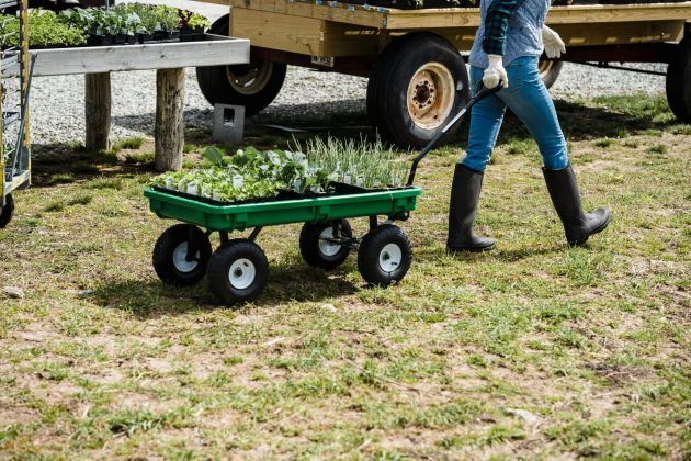 Subvención para la Transferencia de Negocios en el Medio Rural